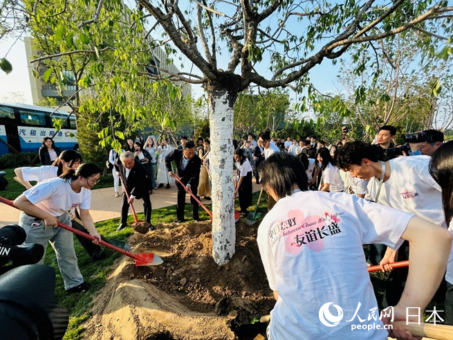 主辦方代表與兩國(guó)青年共同種下友好之樹。人民網(wǎng) 許可攝